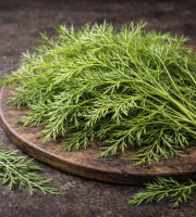 Nature et Saveurs - Ferme Aquaponique et Permacole Astérienne - Jeunes feuilles de Cosmos — Fraîcheur sucrée