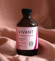 Vivant Kombucha - Kombucha Thé vert Jasmin Framboise Bio x12