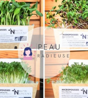 Ma Micropousse culinaire - Pack Peau radieuse (tournesol, radis, brocoli, kale) 200g