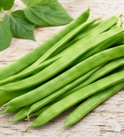 Nature et Saveurs - Ferme Aquaponique et Permacole Astérienne - Haricot plat mangetout vert — jeunes gousses < 1,5 cm