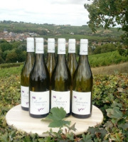 Domaine Doudeau-Leger - Sancerre Blanc AOC 2023 - 6 Bouteilles