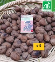 LES JARDINS DE KARINE - Noix sèches - 5kg