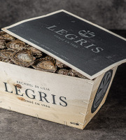 Maison Legris - Huîtres plates TRALEE TG x96