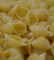 Lioravi, l'authentique pâte fraîche ! - [Précommande] Colis de Pâtes Bio Conchiglie 3x250g