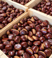 Naturélium - Châtaigne d’Ardèche Comballe extra gros calibre – 1 kg, 2,5 kg ou 5 kg