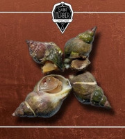 Saint Kerber - Bulots cuits au piment d'espelette - 3 kg
