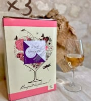 Domaine de la Chopinière du Roy - Lot de 3 BIB de vin rosé 2023 Sec et fuité 5 L