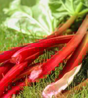 Le Châtaignier - Rhubarbe - 1Kg