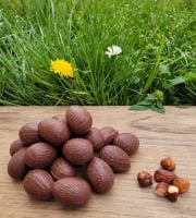 Basile et Téa - Œufs en chocolat au Lait 39% de Pâques Garnis Praliné amande et noisette 150g