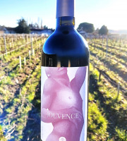Château Jouvente - Jouvence 2019, Graves Rouge (x3 bouteilles)