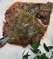 L'atelier des poissonniers - Carrelet