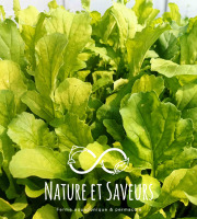 Nature et Saveurs - Ferme Aquaponique et Permacole Astérienne - Roquette