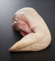 Domaine du Chillou - [Précommande] Langue de boeuf Limousine Bio Plein Air