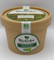 Néoherba - Estragon Français