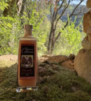 Terroirs de Corse - Liqueur Prestige Noisette