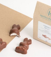 Aurélien Plassard Chocolatier - Lapin en guimauve lait 37%