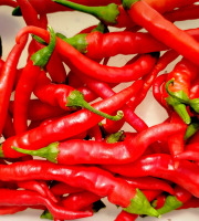 Nature et Saveurs - Ferme Aquaponique et Permacole Astérienne - Piment de Cayenne – Allongé, ardent et plein de caractère