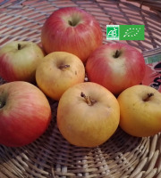LES JARDINS DE KARINE - Pommes rouges et jaunes à croquer - 1kg