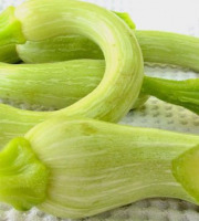 Le Jardin des Antipodes - Courgettes Trombette Di Albenga Bio - 1kg