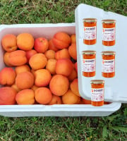 Gobert, l'abricot de 4 générations - Abricots 6kg et 5 confitures différentes