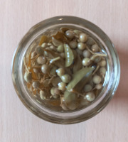 Botanist & Exception - SICHUAN en condiment