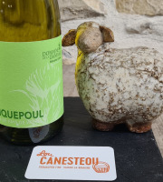 Lou Canesteou - PiquePoul Bio Domaine de Damase