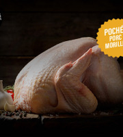 Boucherie Moderne - [Précommande] Dinde Farce PORC / Morilles POCHÉE