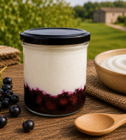 Gaec de l'Elanion - Fromage Blanc Confiture  Cassis 130g