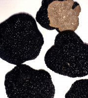 Ferme de Pourcier - Truffe Fraîche - Truffe d'été 500g