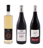 Domaine de la Perrée - Saint Nicolas de Bourgueil & Vin de France - Coffret Mini Découverte 3 bouteilles