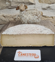 Lou Canesteou - Tomme Tarentaise 1kg