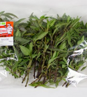 La Boite à Herbes - Sauge Bio 1 kg