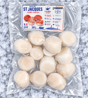 Mon Petit Poisson - Noix de st jacques sans corail (300g)