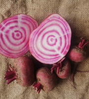 Ferme de Carcouet - Betteraves Chioggia Bio - 1 kg
