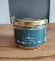 Ferme Bleu Canard - lot de 12 terrines de pigeon