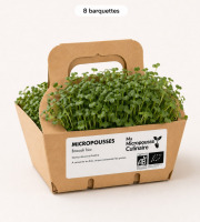 Ma Micropousse culinaire - Micro-pousses bio de brocoli Calabrese – 8 barquettes