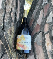 Terroirs de Corse - Vin Blanc Falcucci
