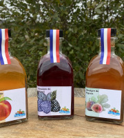 Ferme Sinsac - Trio de vinaigres de fruits (3 x 250ml)