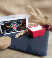 Les Bufflonnes d'Or - Lot de 4 Cœur du burrata/Stracciatella 800g
