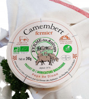 Ferme de la Paumerais - CAMEMBERT FERMIER BIO - 240 Gr