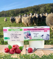 Dessine moi une brebis - Yaourt Brebis Framboise 2x125g