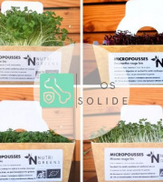 Ma Micropousse culinaire - Pack Os solide (Kale, Amaranthe, cresson, moutarde) 200g