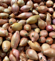 Nature et Saveurs - Ferme Aquaponique et Permacole Astérienne - Échalote - 500g
