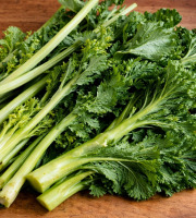 Nature et Saveurs - Ferme Aquaponique et Permacole Astérienne - Rioja – Hampe et Feuille