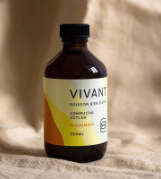 Vivant Kombucha - Kombucha Thé Ceylan Gingembre Bio x12