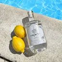 Mte Spiritueux - ORACLE Gin Distillé, Intensité Aromatique, Charente