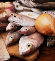 Luximer - Parures De Poissons - Lot De 2kg