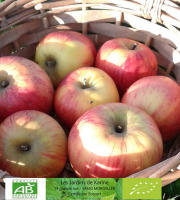 LES JARDINS DE KARINE - POMME à croquer Reine de Reinettes - 1kg