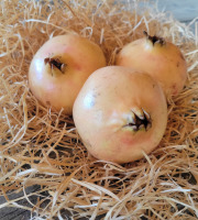 Les Jardins de Gérard - Grenade Bio 1kg