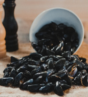 Thalassa Tradition - Moules de Bouchot - 10kg